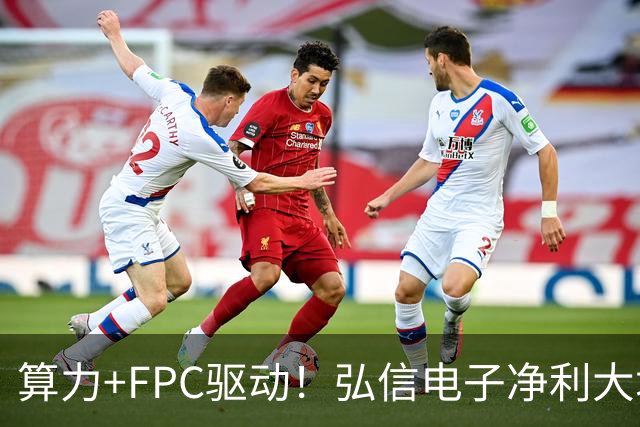 算力+FPC驱动！弘信电子净利大增139%，股价较年内高点回撤超40%